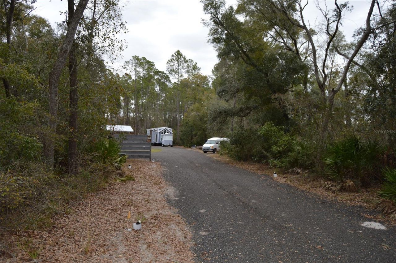 1459 NE 743 Street, Cross City, FL 32628 Photo