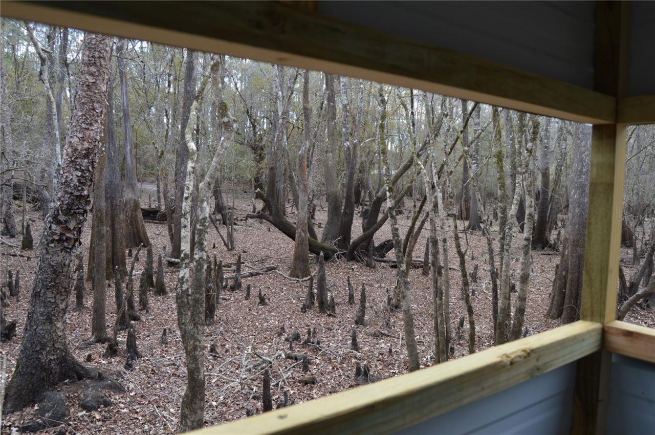 1459 NE 743 Street, Cross City, FL 32628 Photo