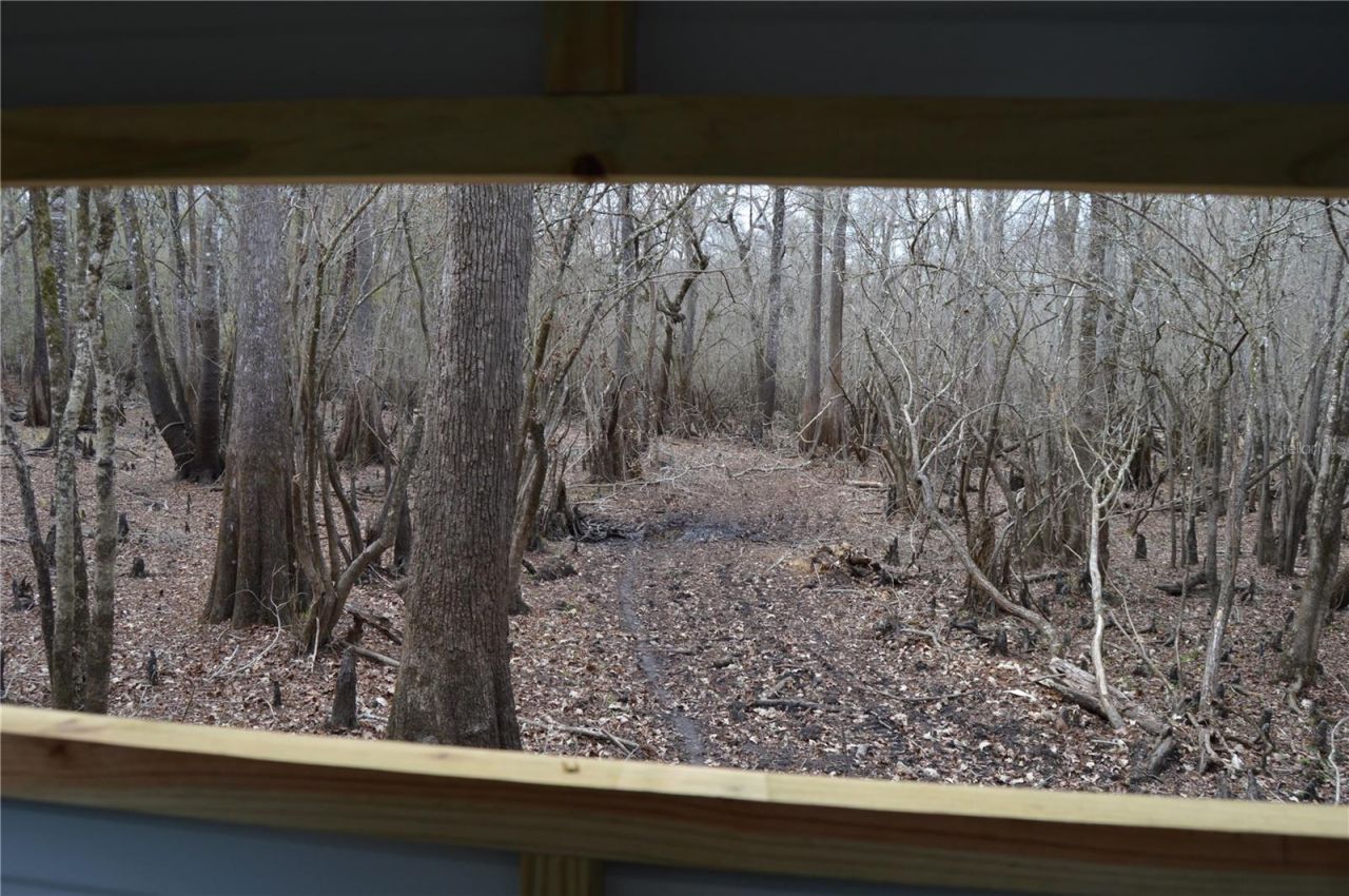 1459 NE 743 Street, Cross City, FL 32628 Photo