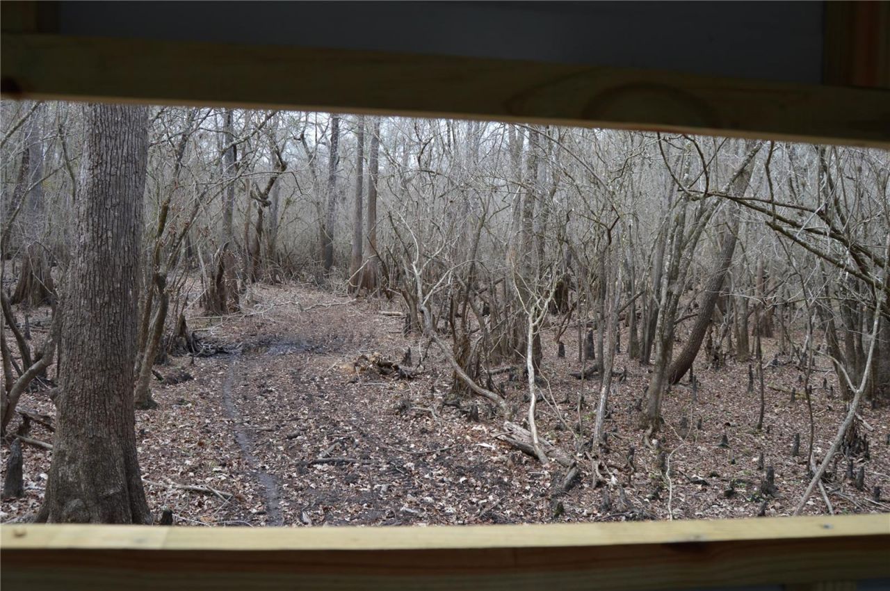 1459 NE 743 Street, Cross City, FL 32628 Photo