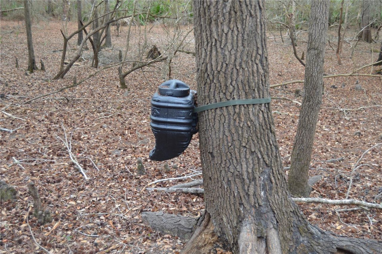 1459 NE 743 Street, Cross City, FL 32628 Photo