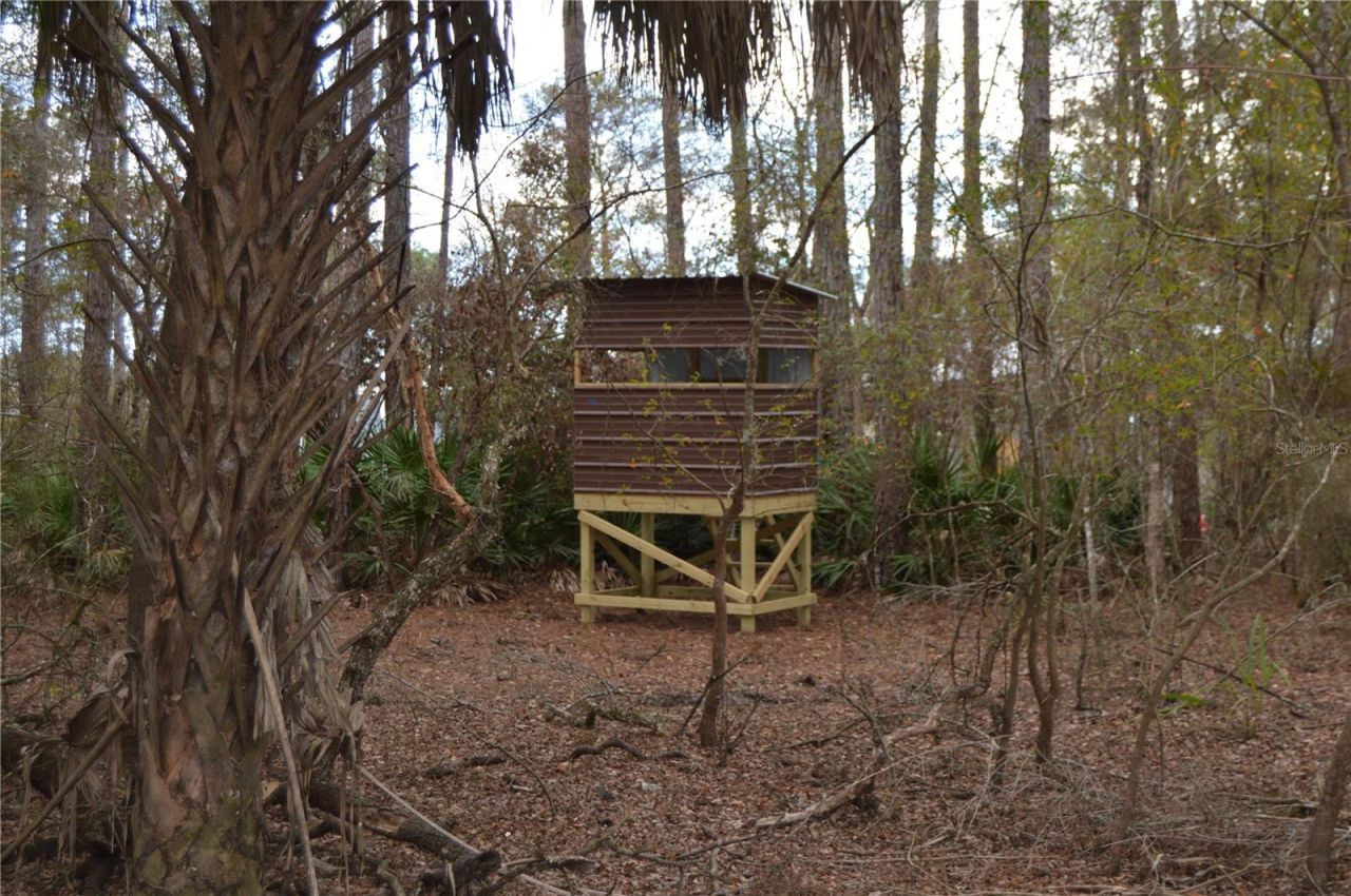 1459 NE 743 Street, Cross City, FL 32628 Photo