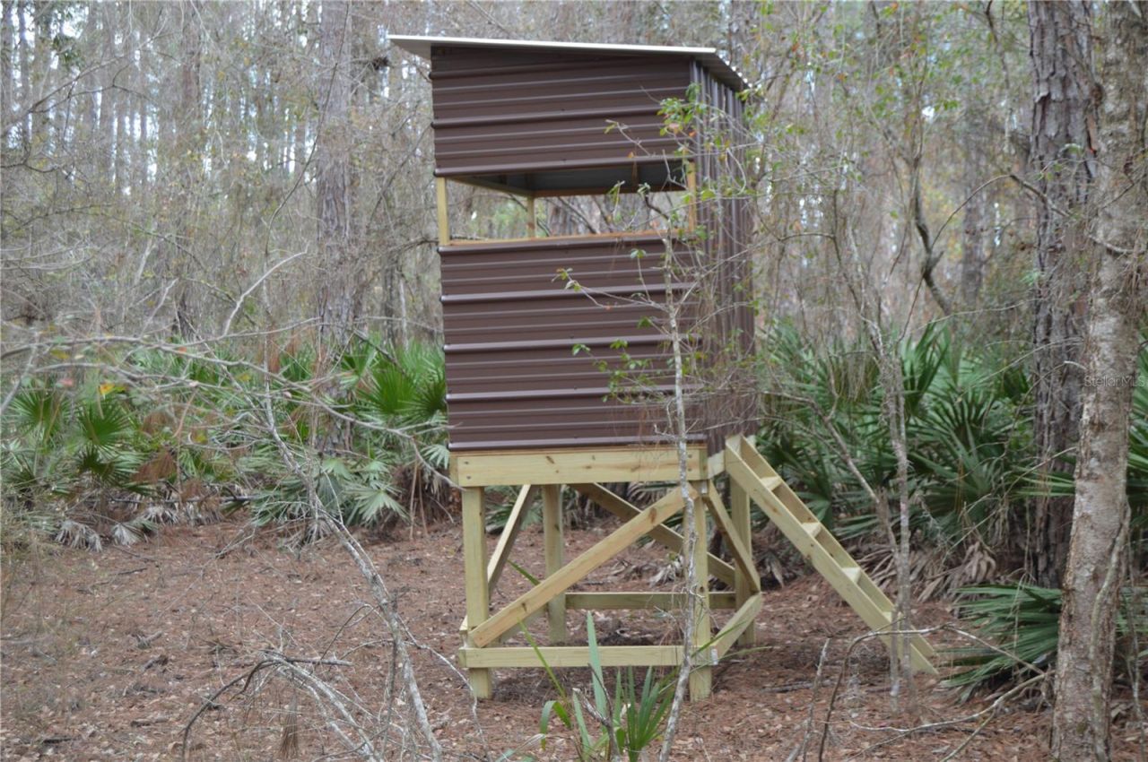 1459 NE 743 Street, Cross City, FL 32628 Photo