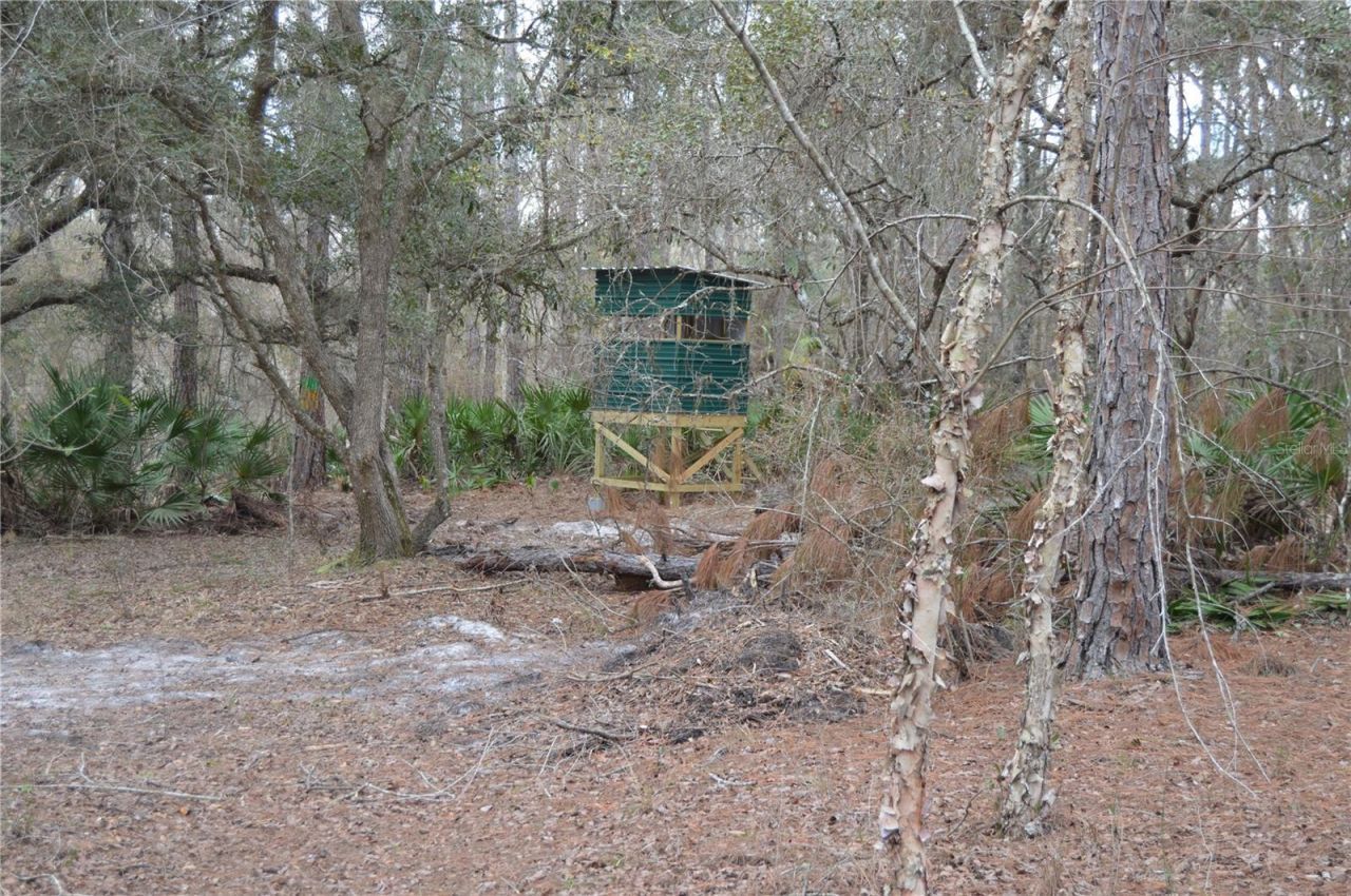 1459 NE 743 Street, Cross City, FL 32628 Photo