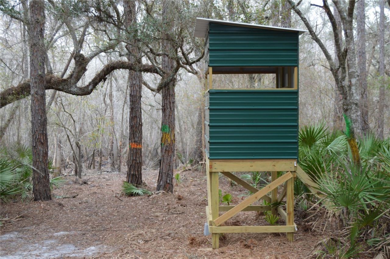 1459 NE 743 Street, Cross City, FL 32628 Photo