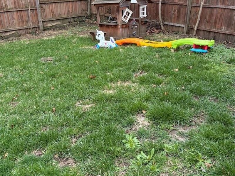 113 Grove Road, Bethel Township, OH 45341 Photo 8