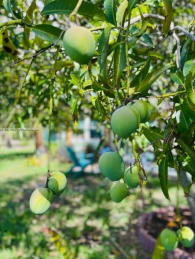 213 N E St , Lake Worth, FL 33460 Photo