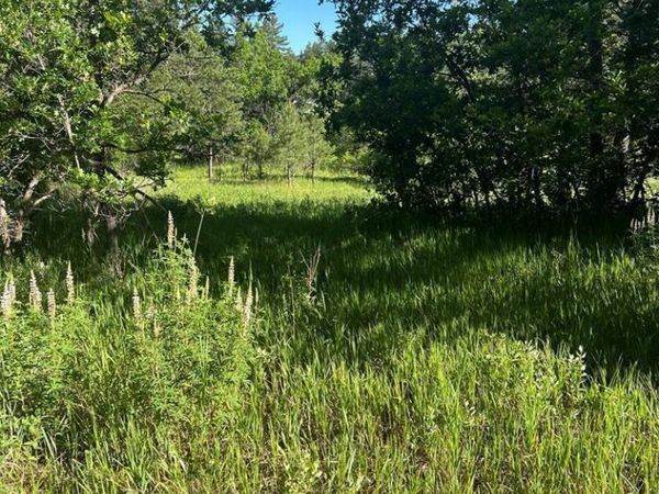 Pine Dr, Beulah, CO 81023