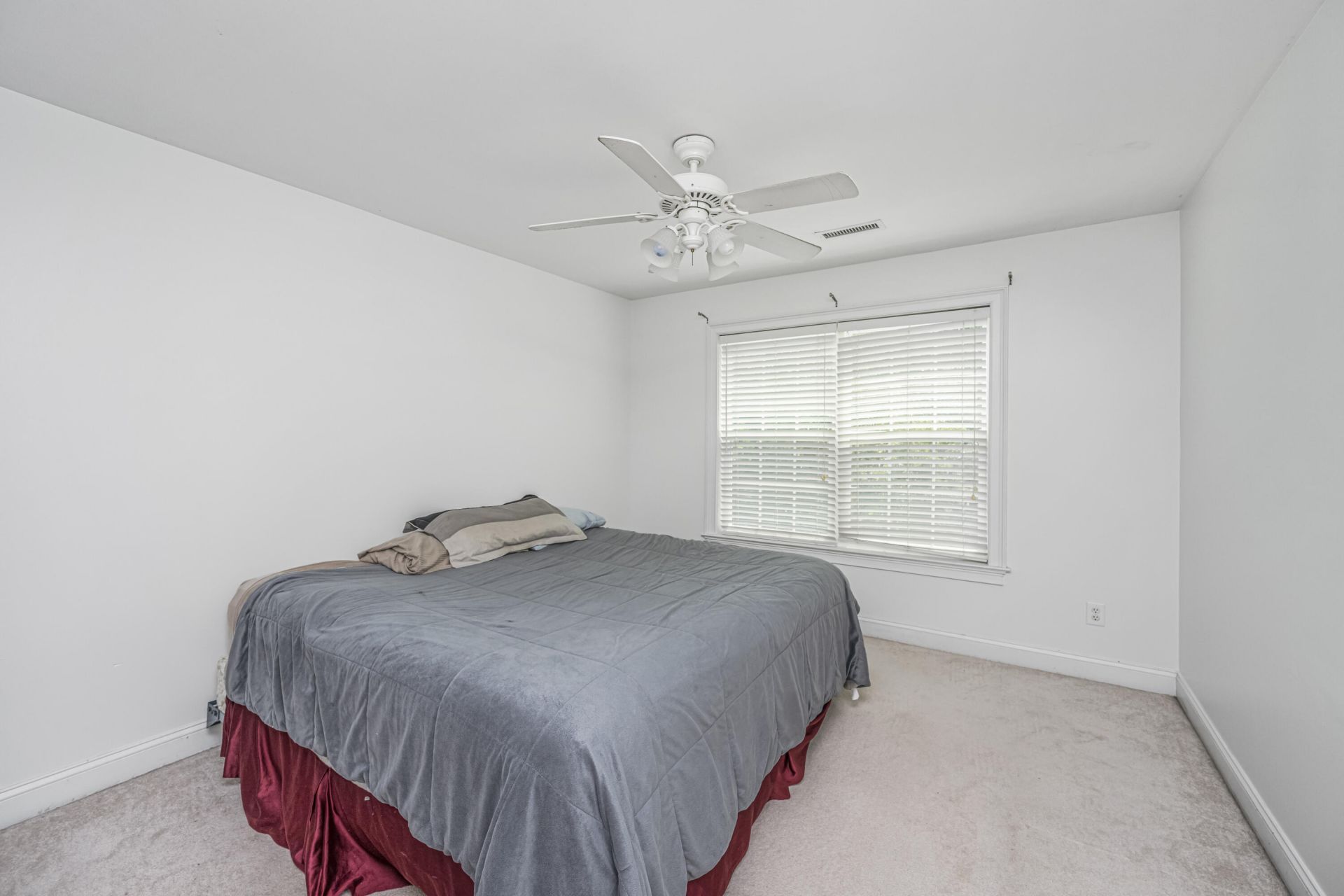 1409 Bloomingdale Lane Photo 37