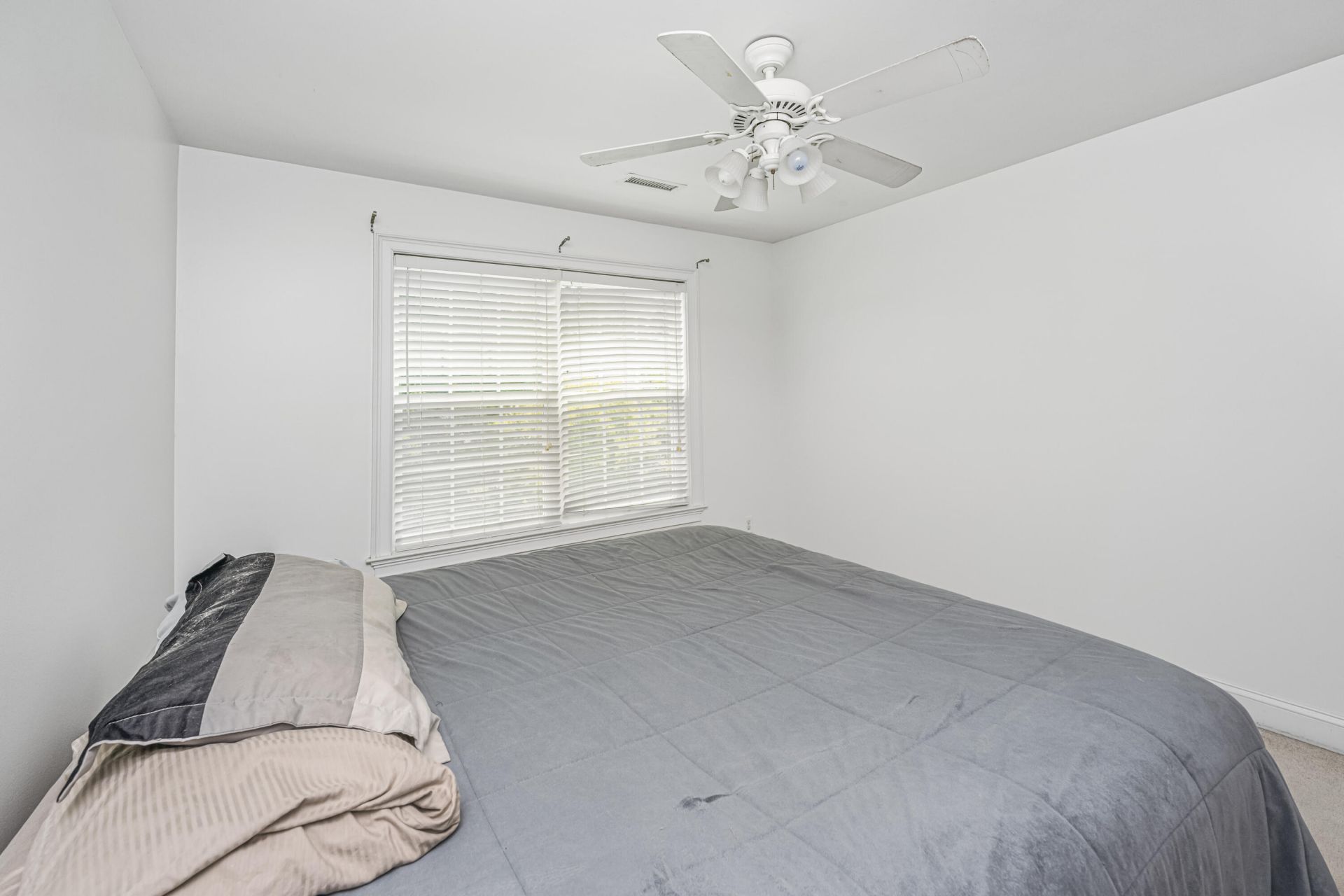 1409 Bloomingdale Lane Photo 38