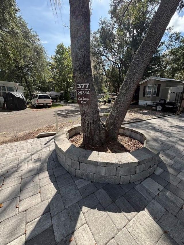 25314 NE 141st Street, Lot #377, Salt Springs, FL 32134 Photo