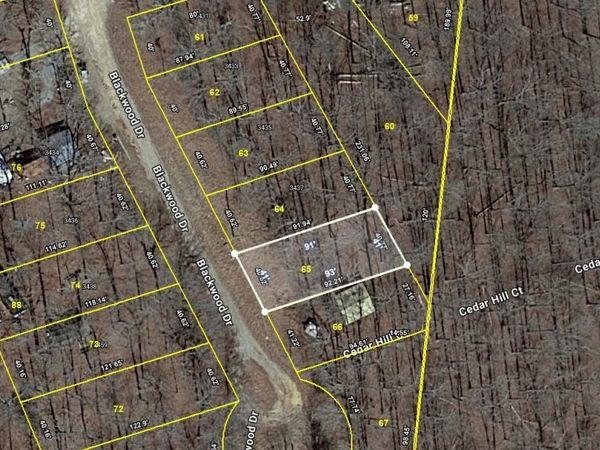 65 Blackwood Dr, Nunnelly, TN 37137