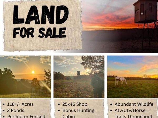 000 County Road 529 , Ava, MO 65608