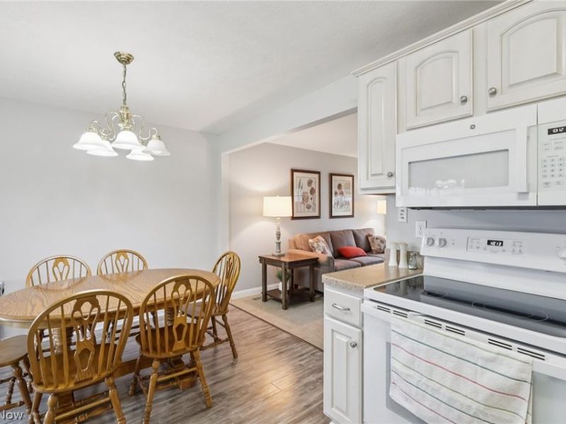 6168 Thistlewood Drive, Mentor, OH 44060 Photo 14