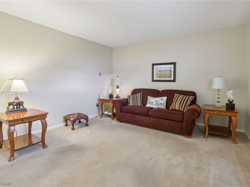 6168 Thistlewood Drive, Mentor, OH 44060 Photo 17