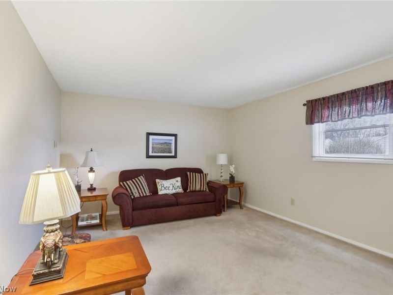 6168 Thistlewood Drive, Mentor, OH 44060 Photo 20