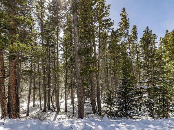 757 Texas Drive, Idaho Springs, CO 80452