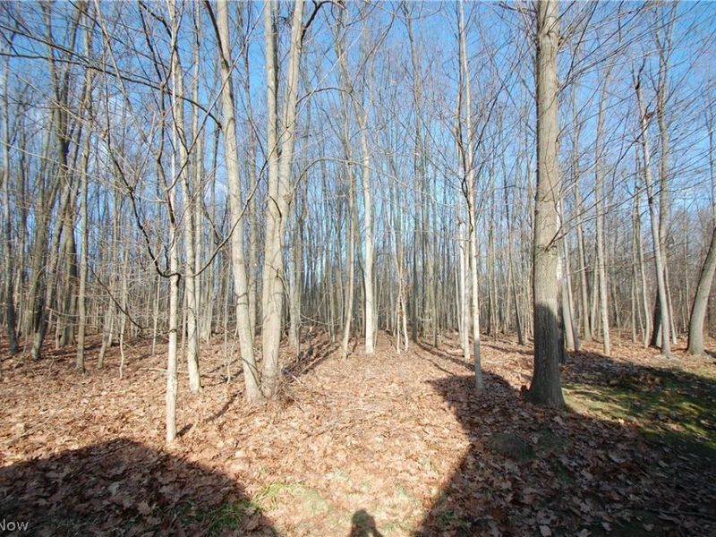 7863 Walnut Street, Unit A, Boardman, OH 44512 Photo 4