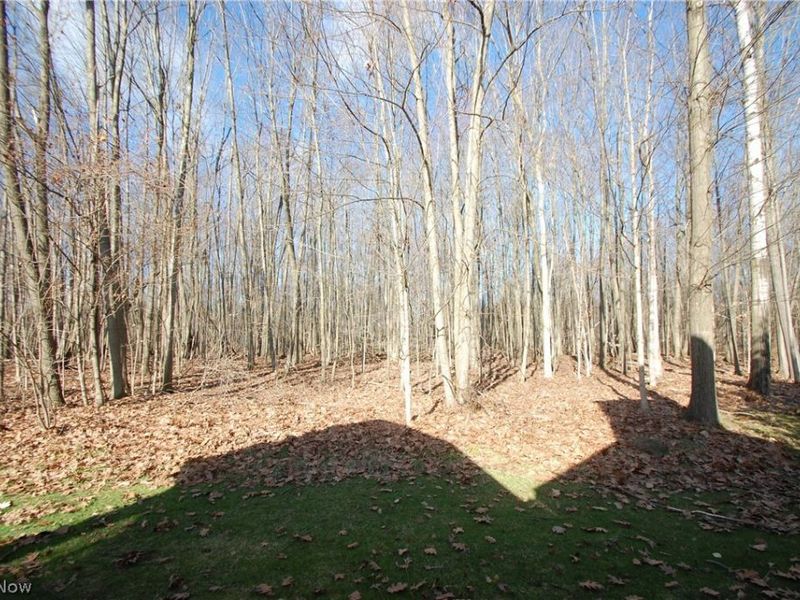 7863 Walnut Street, Unit A, Boardman, OH 44512 Photo 5