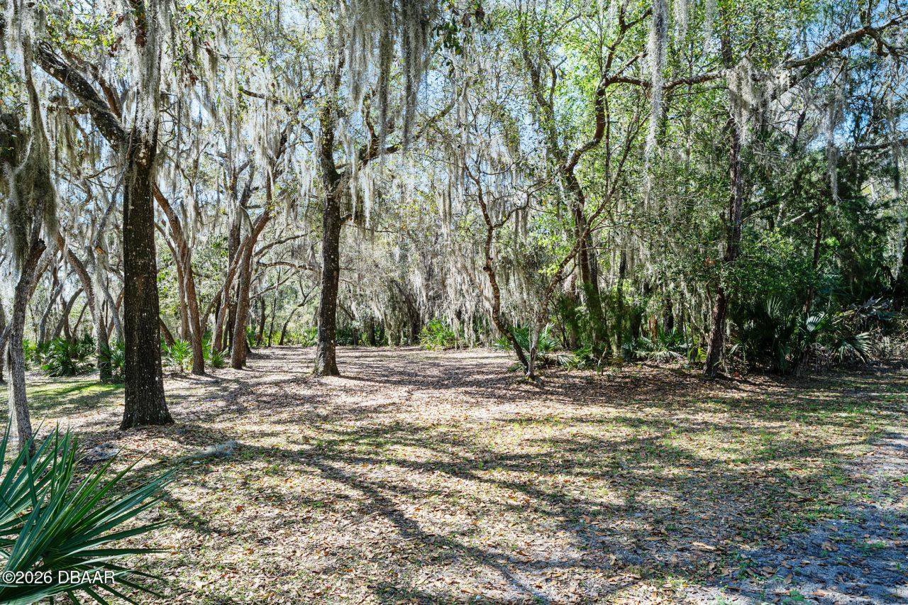 103 Oak Lane, Ormond Beach, FL 32174 Photo