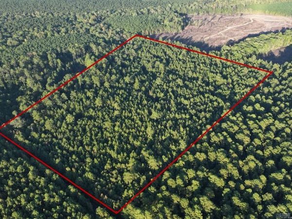 2700 Grant County Rd 36 , Prattsville, AR 72129