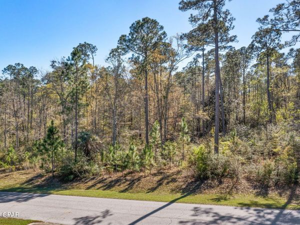 XXX Pine Bluff Drive, Chipley, FL 32428