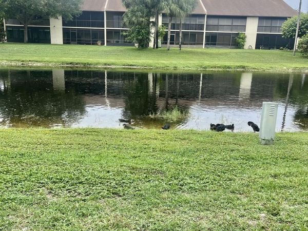 3529 Englewood Drive E, Unit 313, Lake Worth, FL 33467