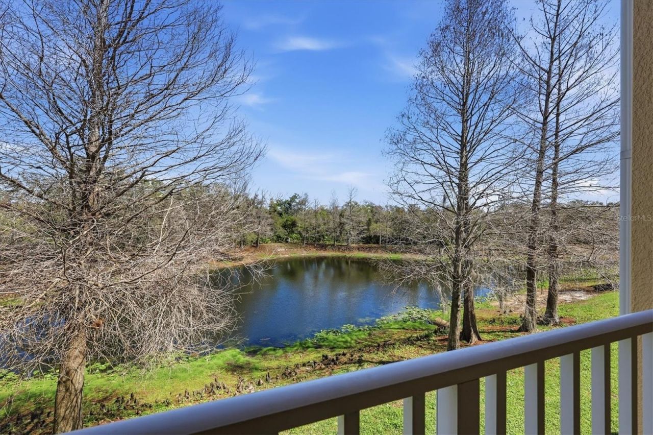 9038 White Sage Loop, Lakewood Ranch, FL 34202 Photo