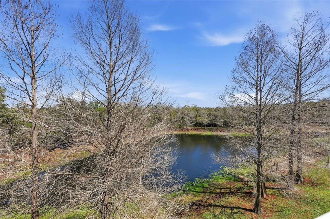 9038 White Sage Loop, Lakewood Ranch, FL 34202 Photo