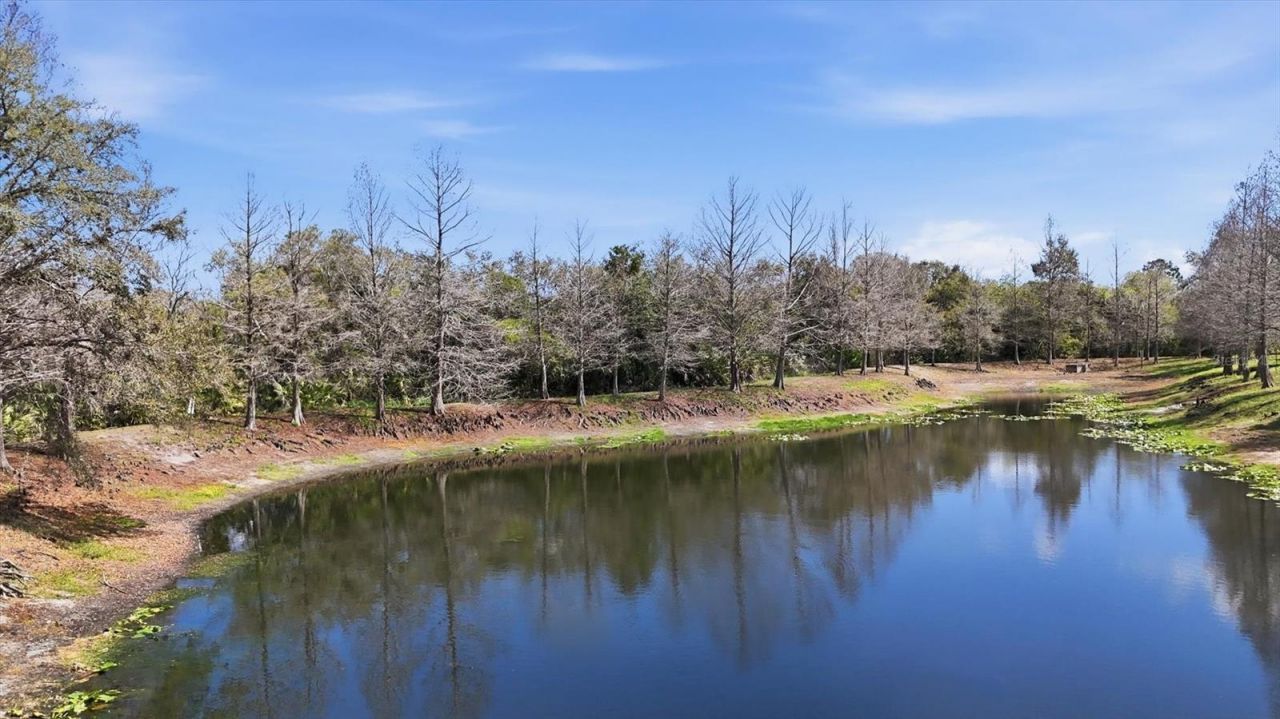 9038 White Sage Loop, Lakewood Ranch, FL 34202 Photo