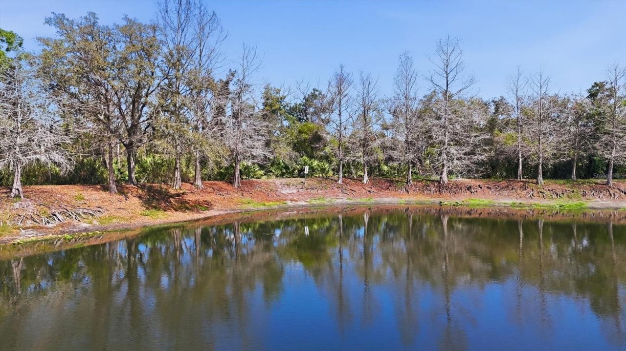 9038 White Sage Loop, Lakewood Ranch, FL 34202 Photo