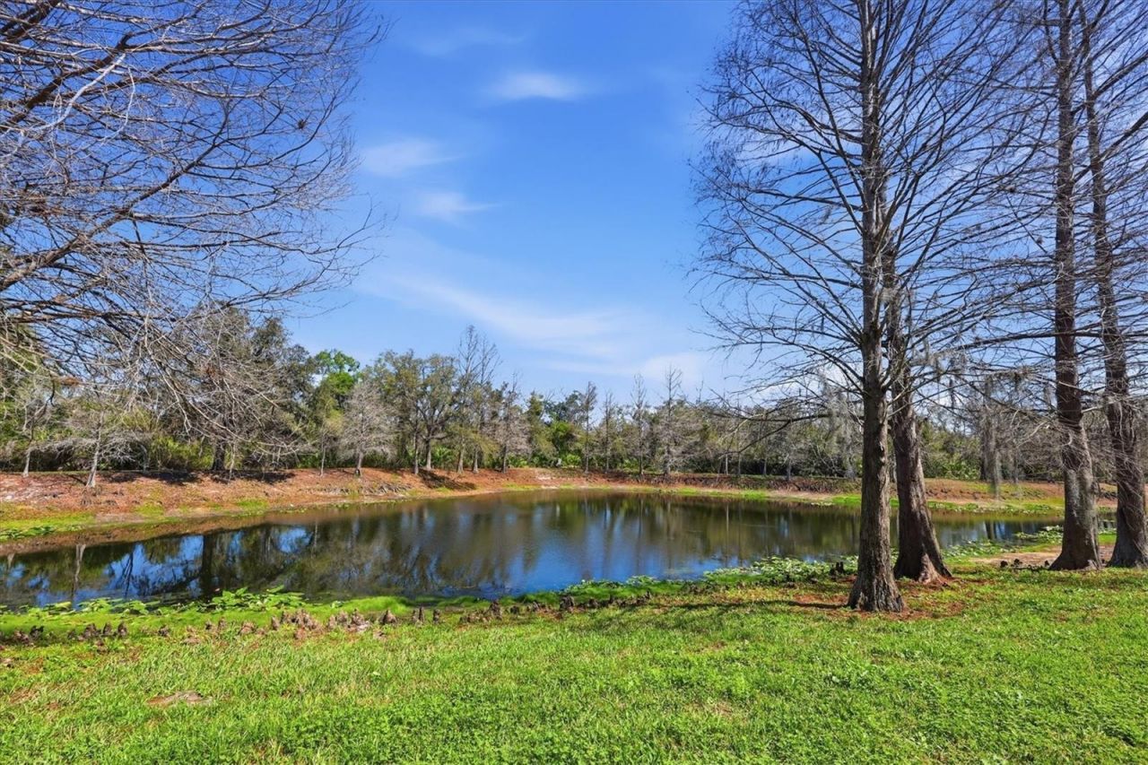 9038 White Sage Loop, Lakewood Ranch, FL 34202 Photo