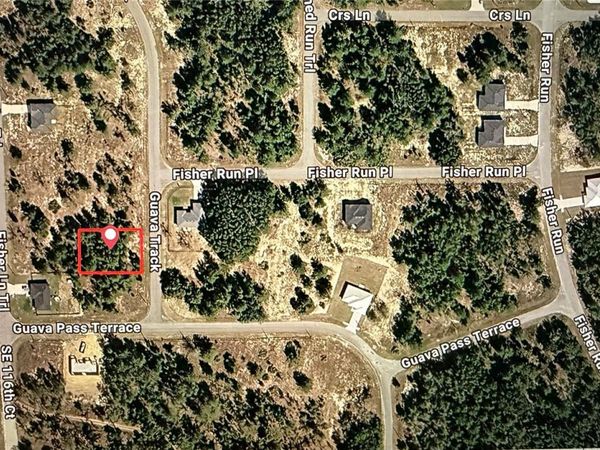 GUAVA TRACK , OCKLAWAHA, FL 32179