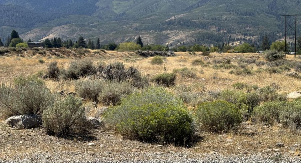 355 River Pines Drive, Verdi, NV 89439 Photo