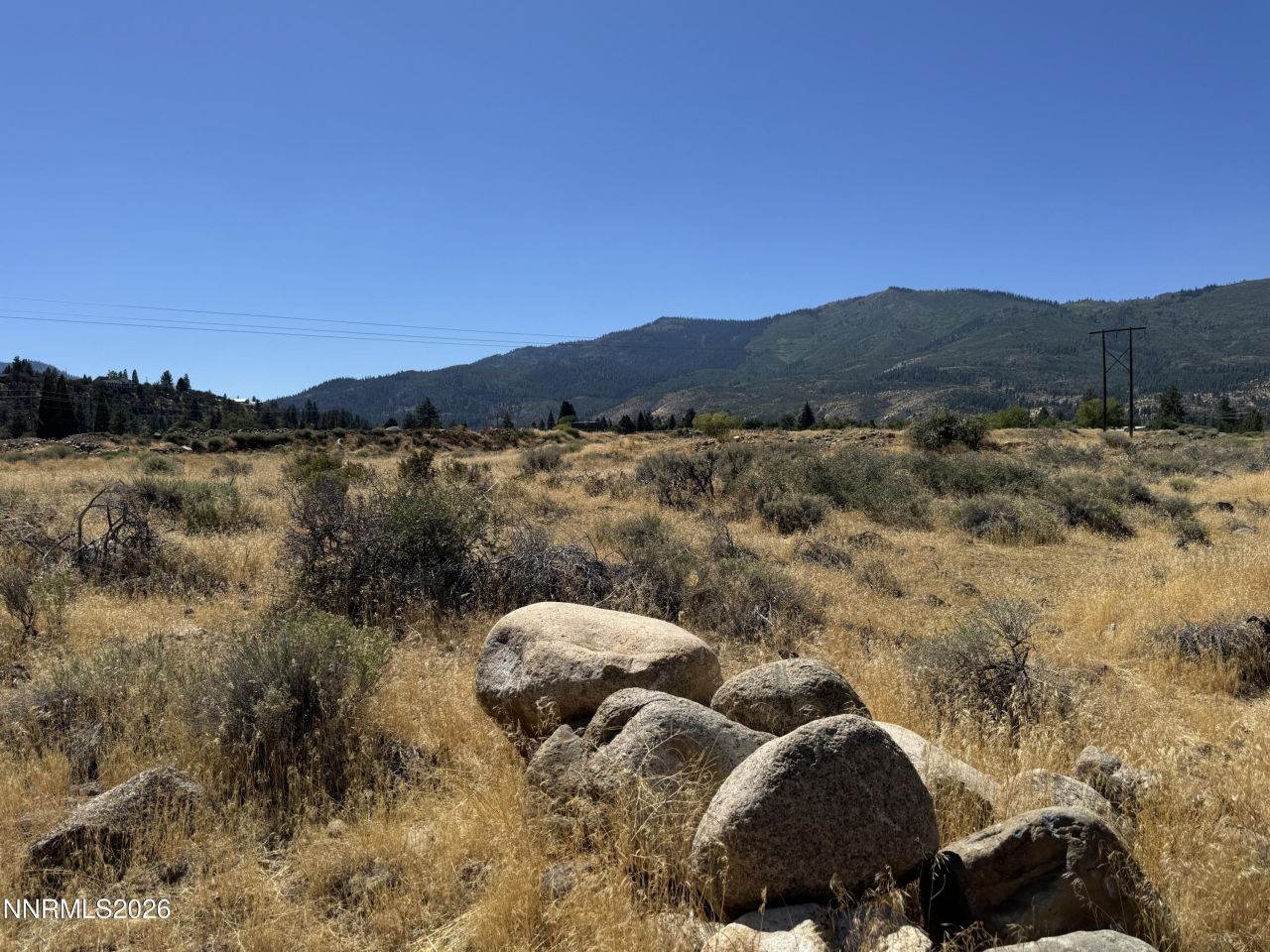 355 River Pines Drive, Verdi, NV 89439 Photo