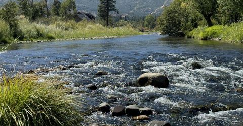 355 River Pines Drive, Verdi, NV 89439 Photo