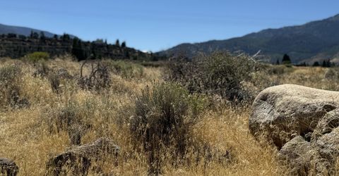 355 River Pines Drive, Verdi, NV 89439 Photo