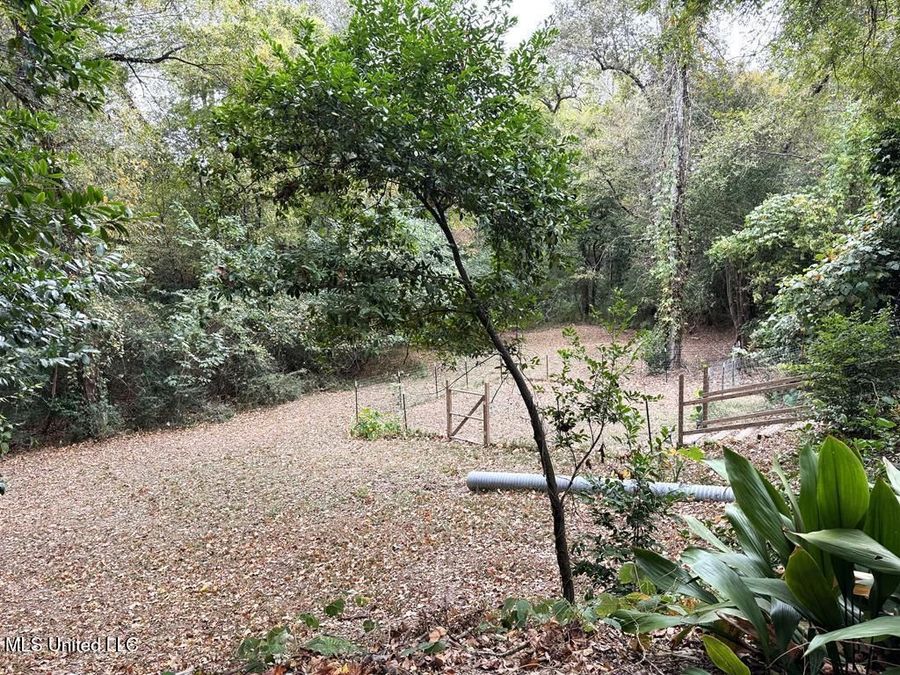 Property Image 42