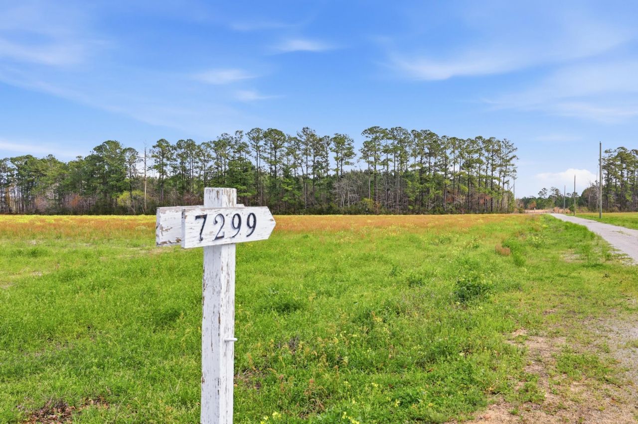 7299 Cartrette Rd.  Photo 44