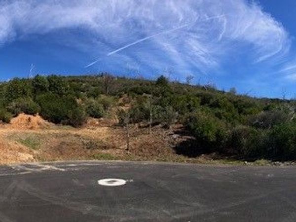 9738 Hoberg Drive E, Cobb, CA 95426