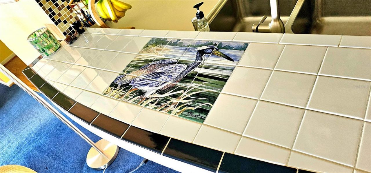 3585 93rd Avenue N, Pinellas Park, FL 33782 Photo