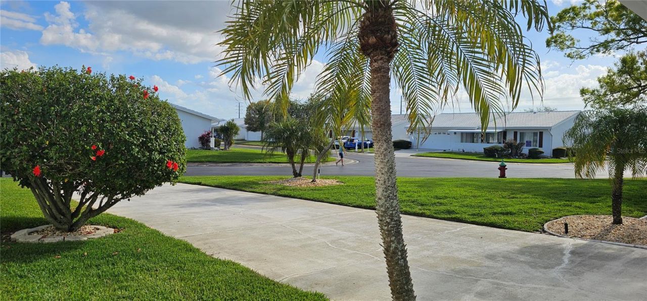 3585 93rd Avenue N, Pinellas Park, FL 33782 Photo