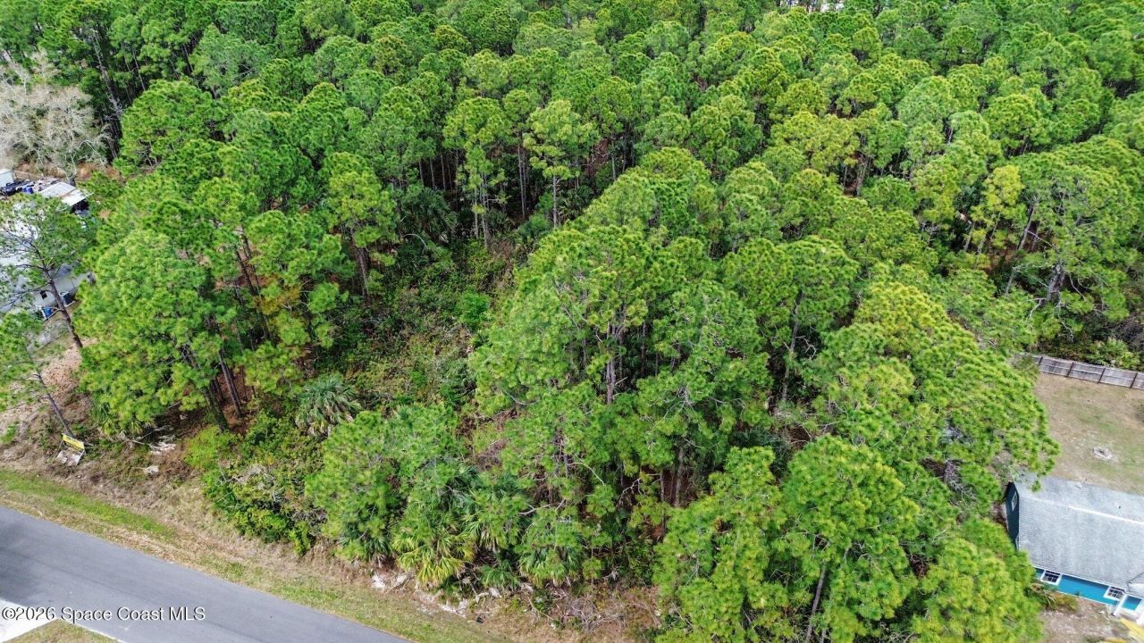 341 Danis Road SW , Palm Bay, FL 32908 Photo