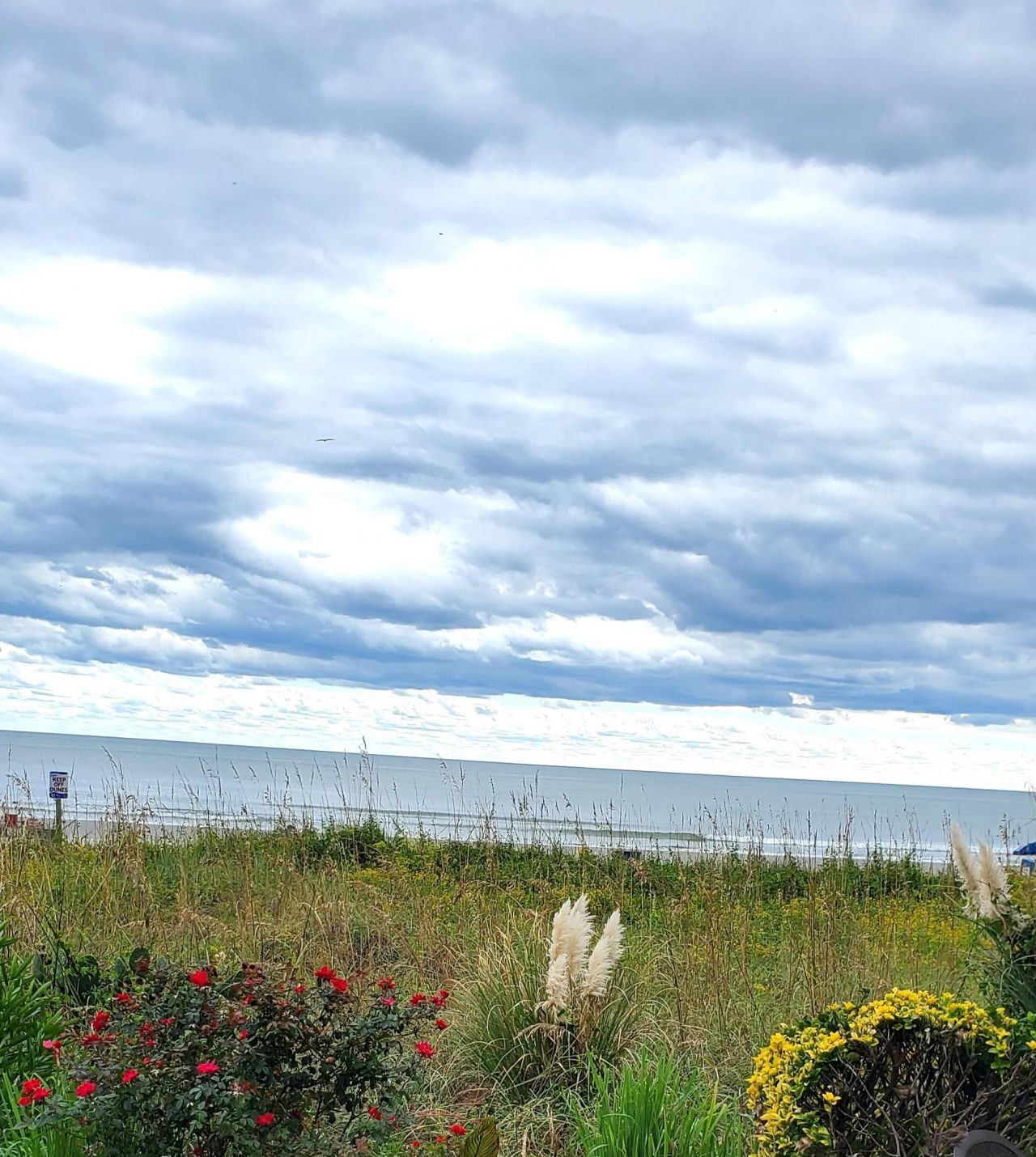 1589 Littleleaf Loop Photo 39