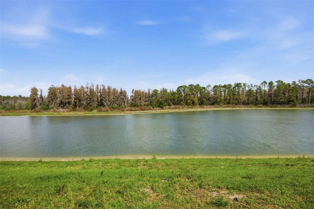 7771 Notched Pine Bend, Wesley Chapel, FL 33545 Photo