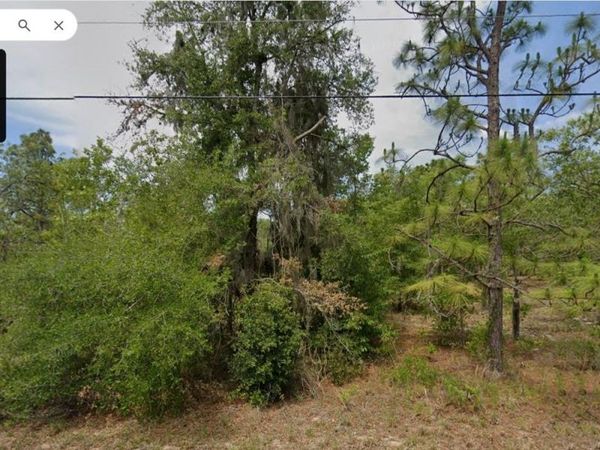 11754 N BELLUZZI TERRACE , DUNNELLON, FL 34433