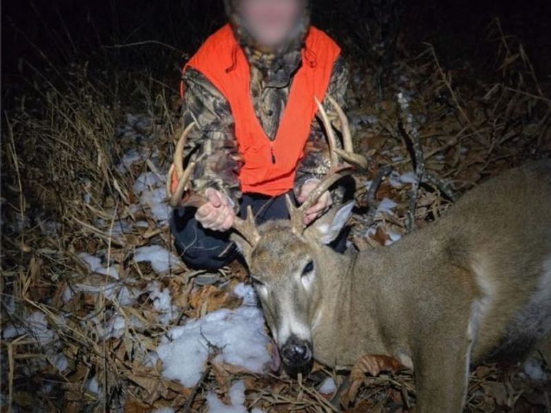 3265 Yorkview Road SW, New Philadelphia, OH 44663 Photo 44