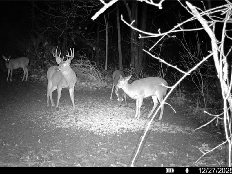 3265 Yorkview Road SW, New Philadelphia, OH 44663 Photo 45