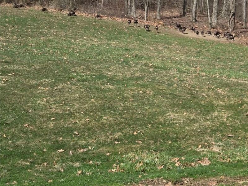 3265 Yorkview Road SW, New Philadelphia, OH 44663 Photo 45