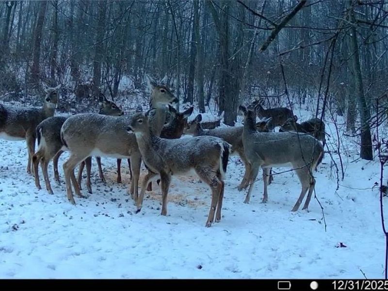 3265 Yorkview Road SW, New Philadelphia, OH 44663 Photo 46